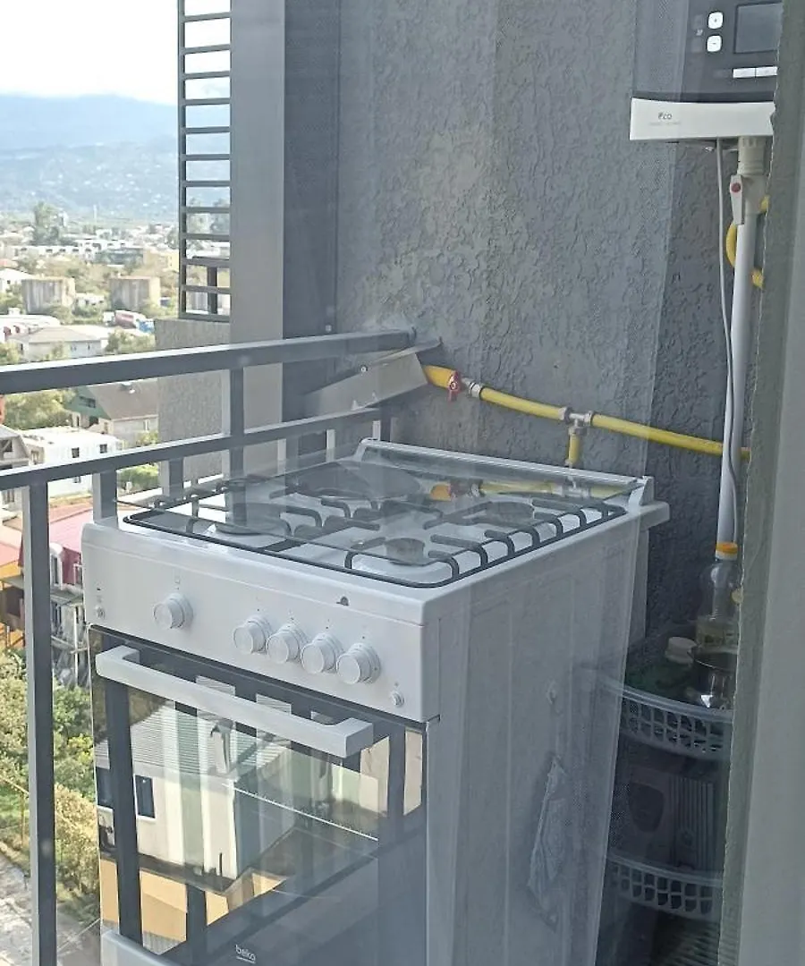 Apartment Квартира У Аэропорта Batumi Georgia