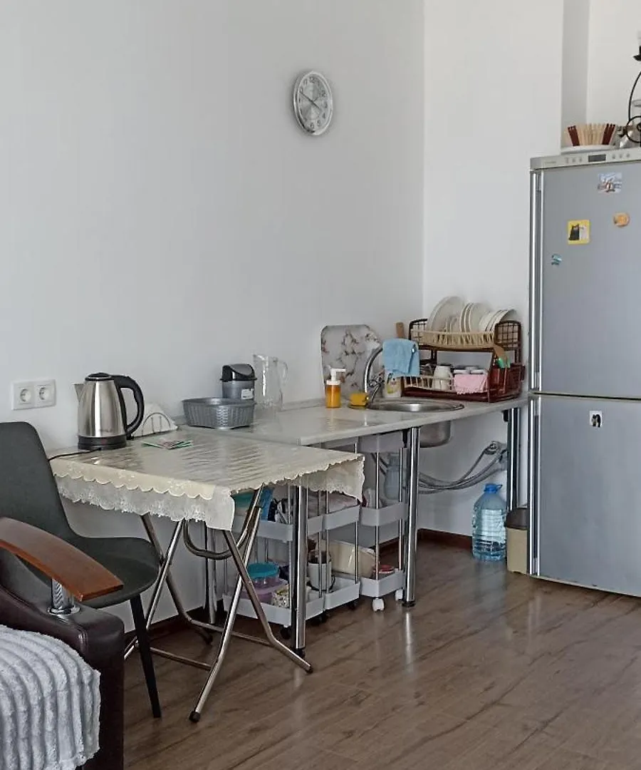 Квартира У Аэропорта Batumi Apartment
